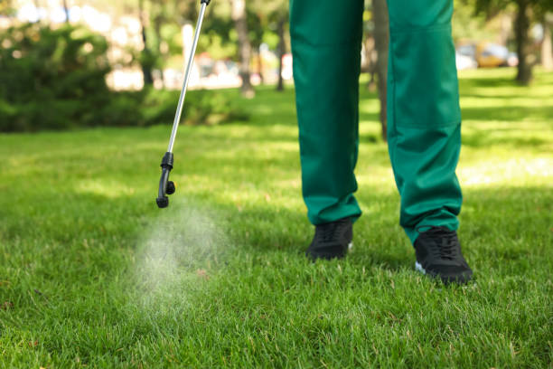 Best Local Pest Control Services  in Timberne, LA