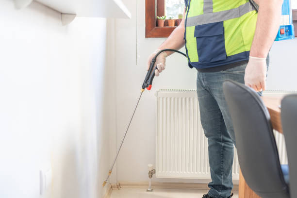 Best Best Pest Control Near Me  in Timberne, LA
