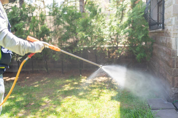 Best Affordable Pest Control Services  in Timberne, LA