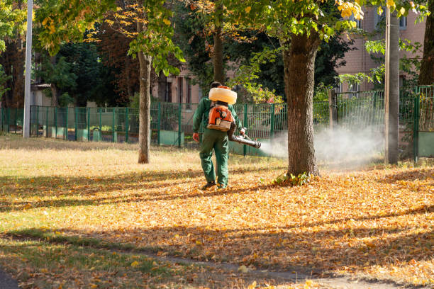 Best Exterminator Services  in Timberne, LA