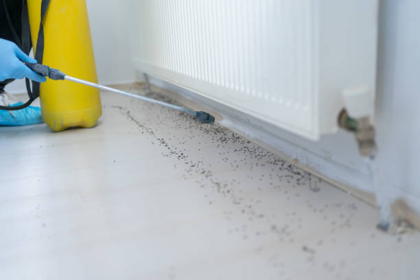 Best Pest Control Near Me in Timberlane, LA