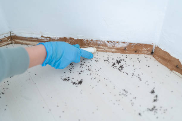 Best Wildlife Control Services  in Timberne, LA